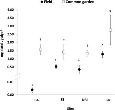 Variability in Seaweed <mark class="highlighted">Chemical Defense</mark> and Growth Under Common Garden Conditions